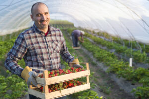 Produtor rural poderá emitir NFC‑e com nota técnica. Veja obrigações, prazos e impacto para empresas e contadores no DF.